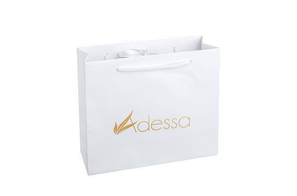 Paper bag